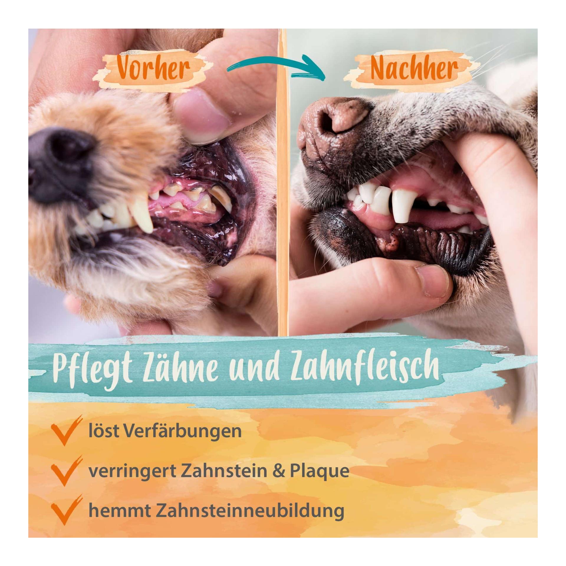 Denta Dog - kinderleichte Hunde Zahnpflege - stoppt Hunde Mundgeruch