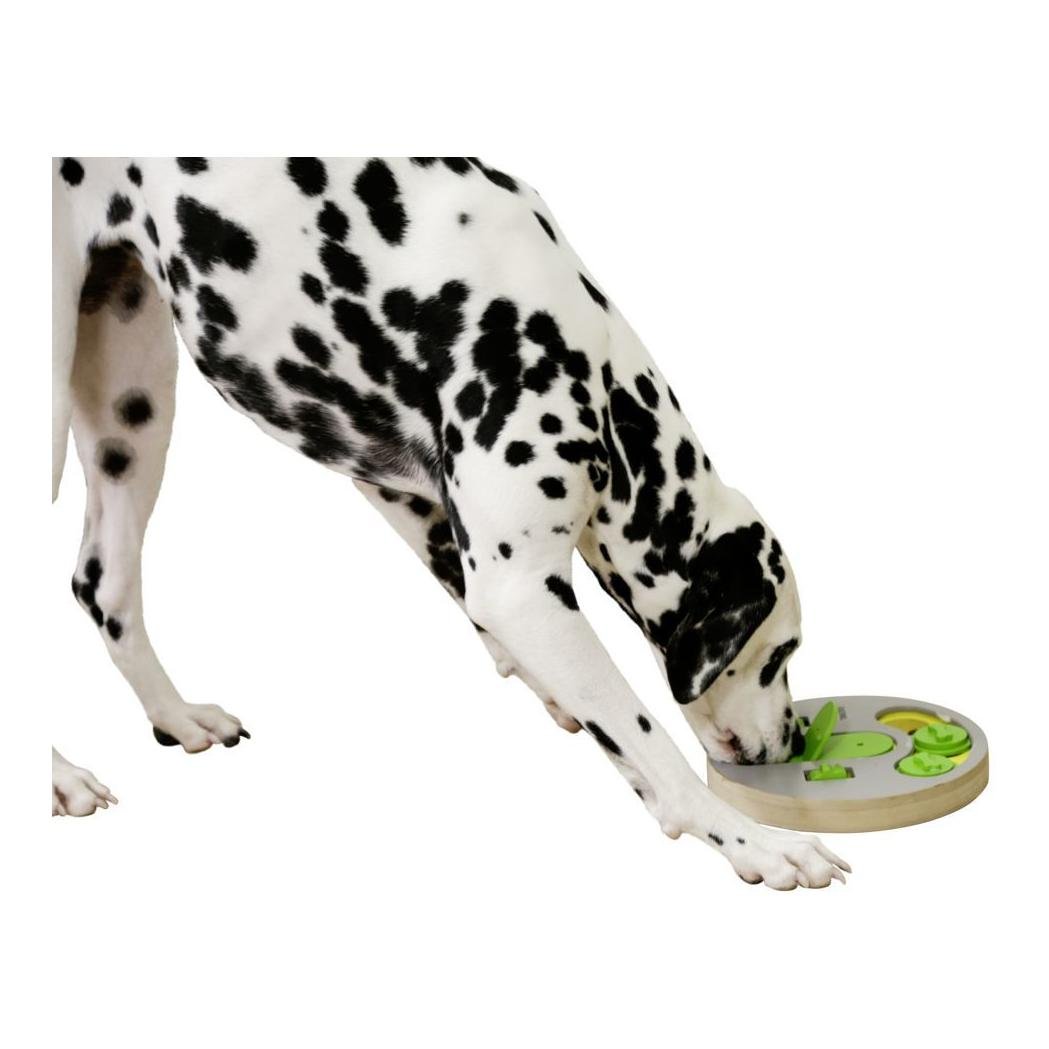 Denk- und Lernspielzeug Face - grün/gelb/grau