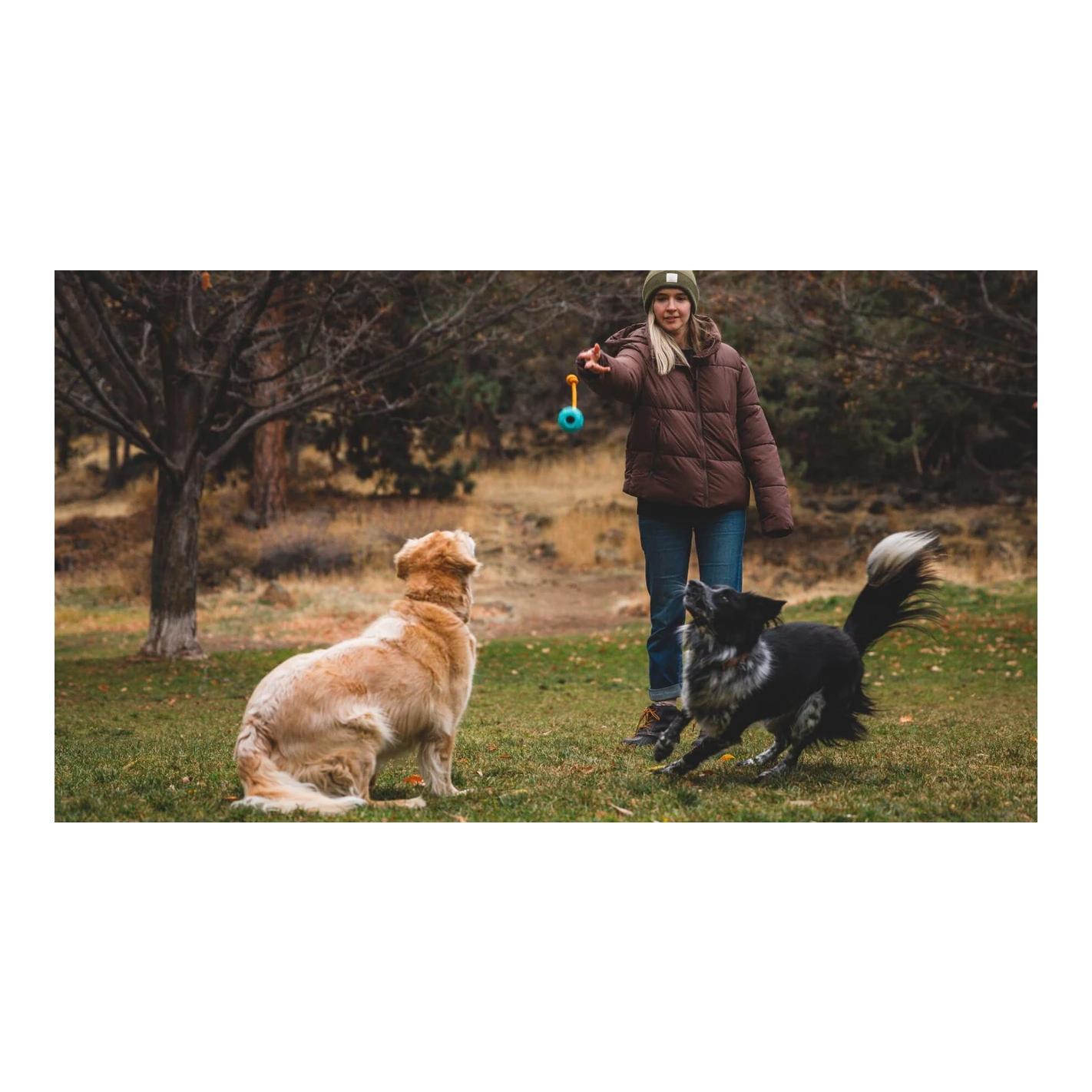 Hundespielzeug Huck-a-Cone