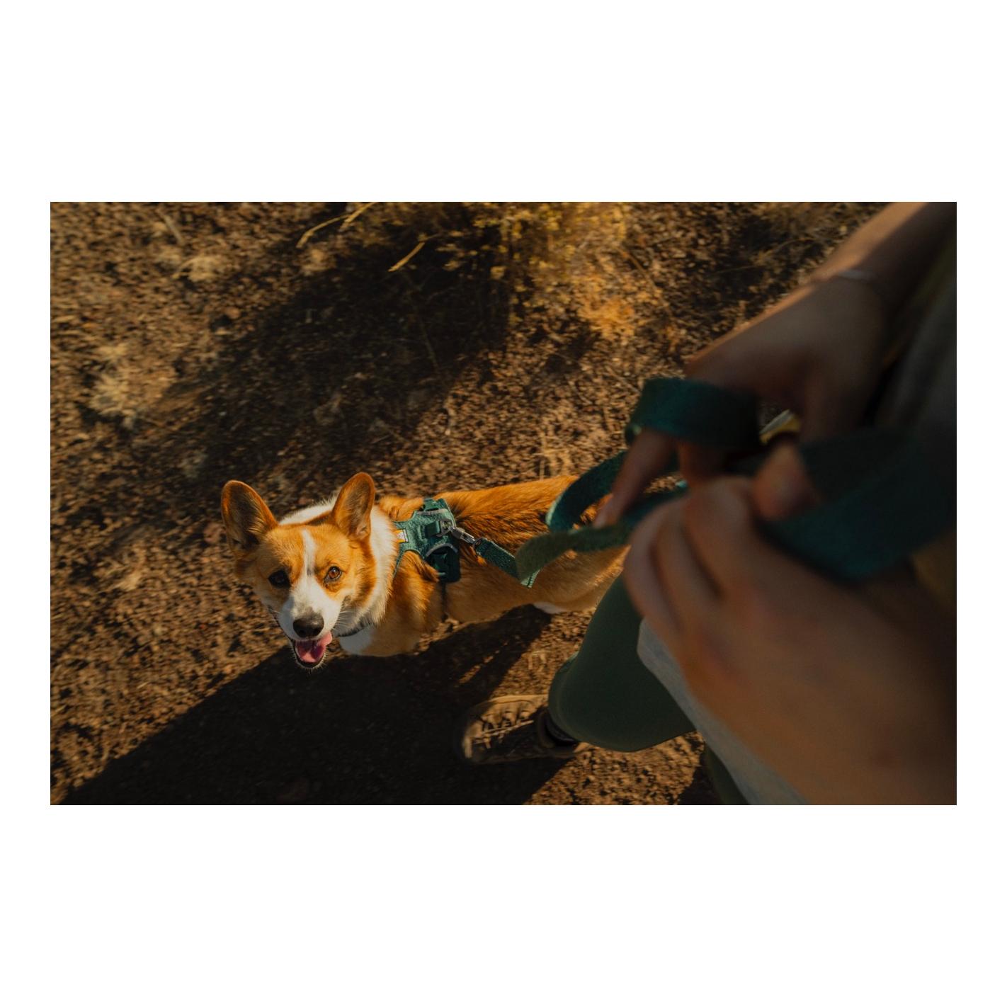 Ruffwear Front Range™ Flex Hundeleine