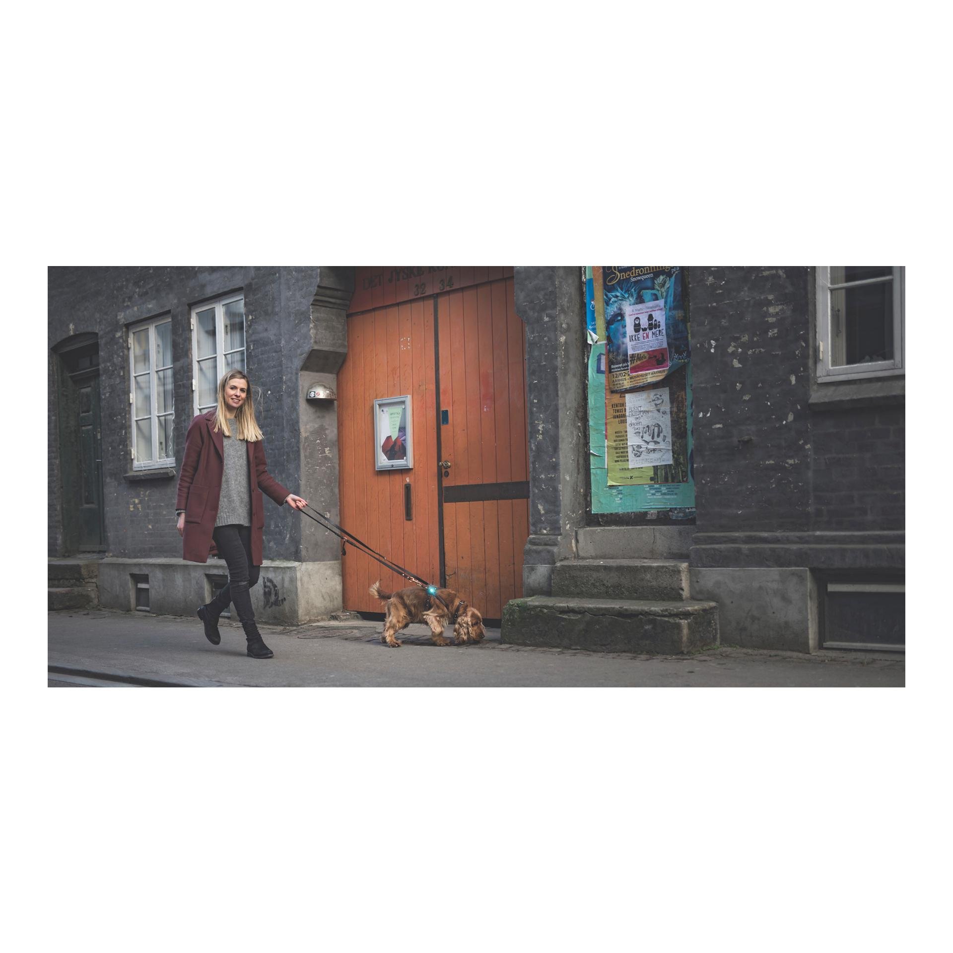 Safety Light Orbiloc Dog Dual - türkis