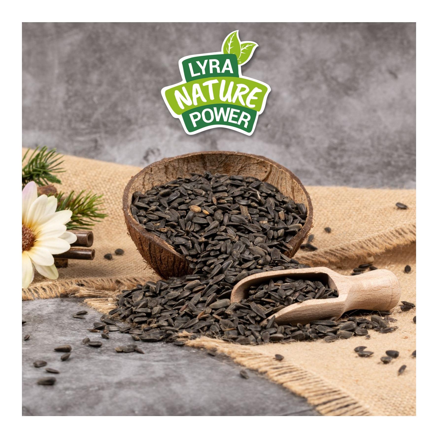 Sonnenblumenkerne schwarz