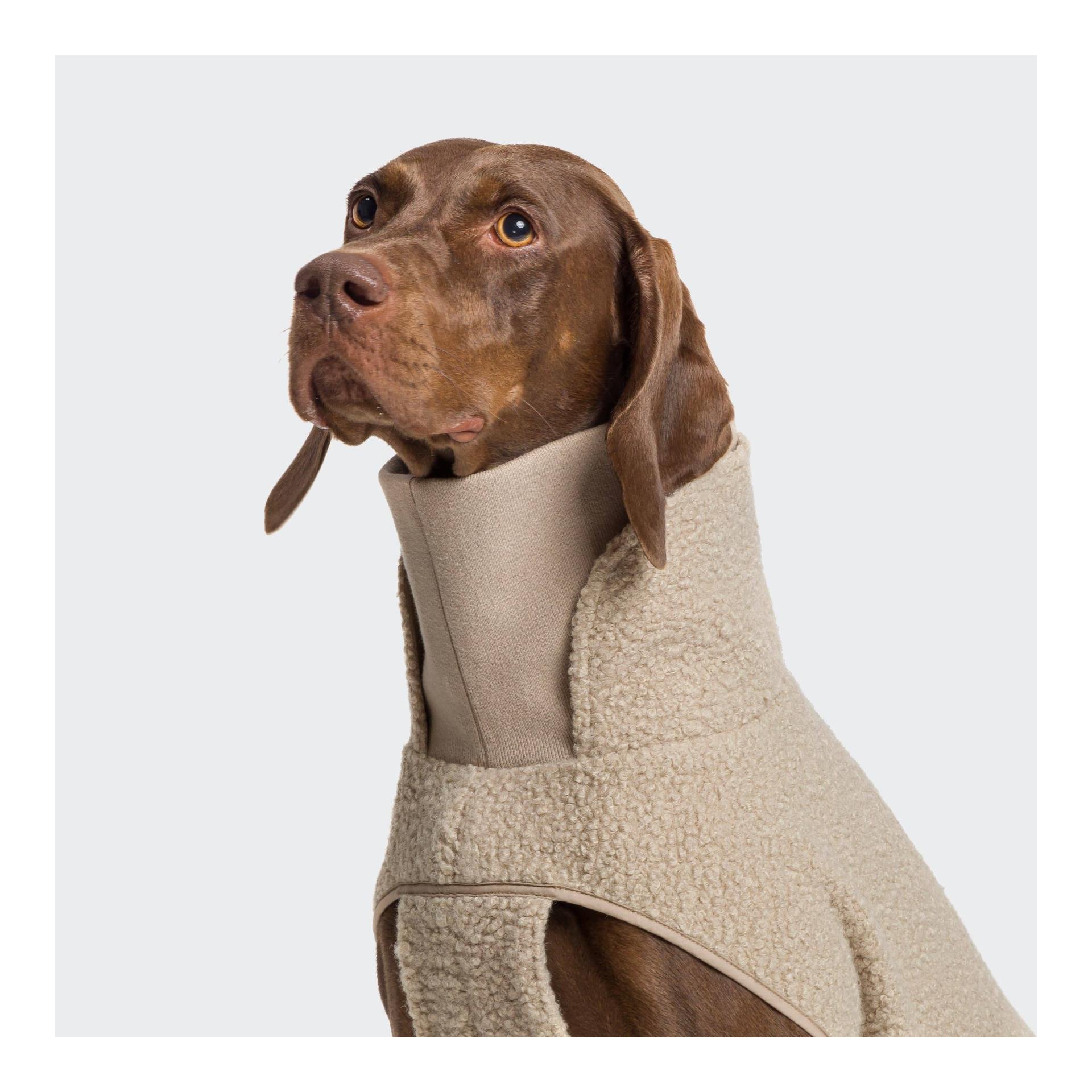 Hundepullover Gotland mit Kragen