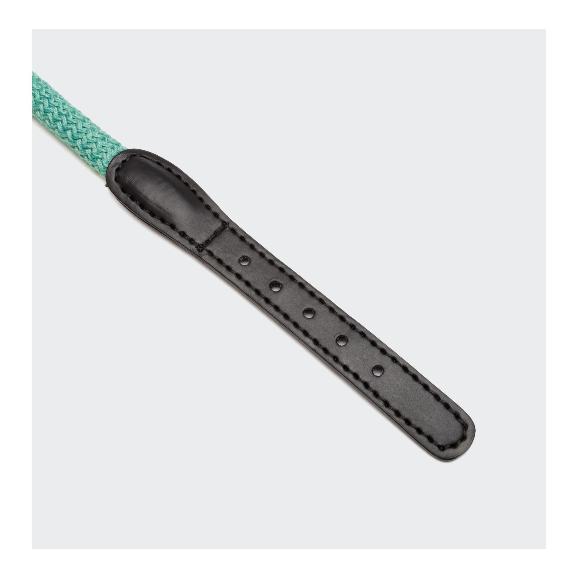 Hundehalsband Mauerpark