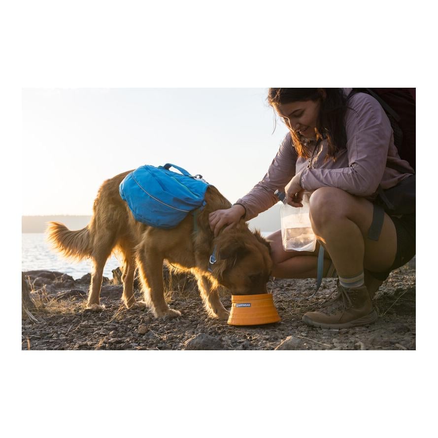 Bivy™ Bowl gamelle pour chien