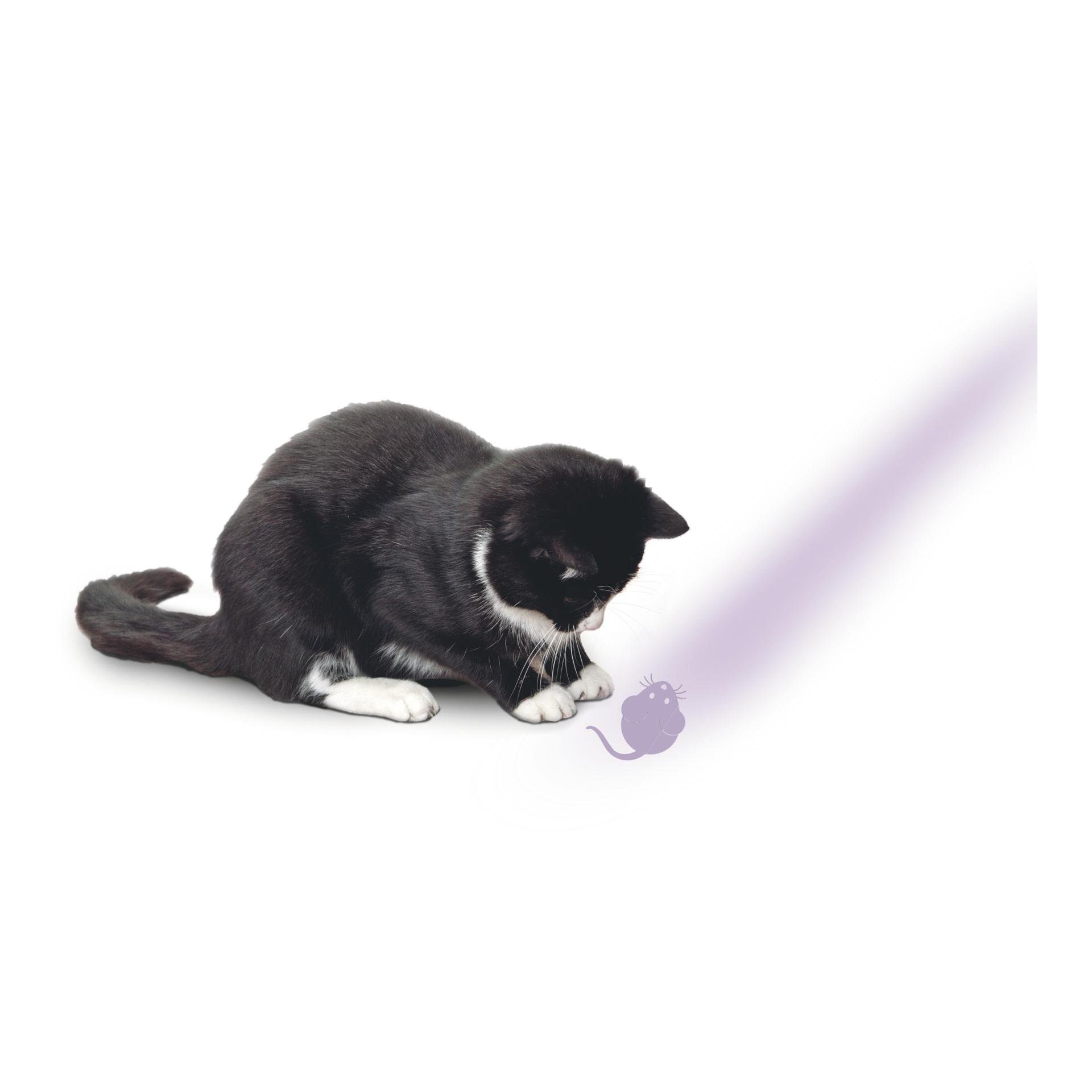 Display LED Pointer mit Maus-Motiv