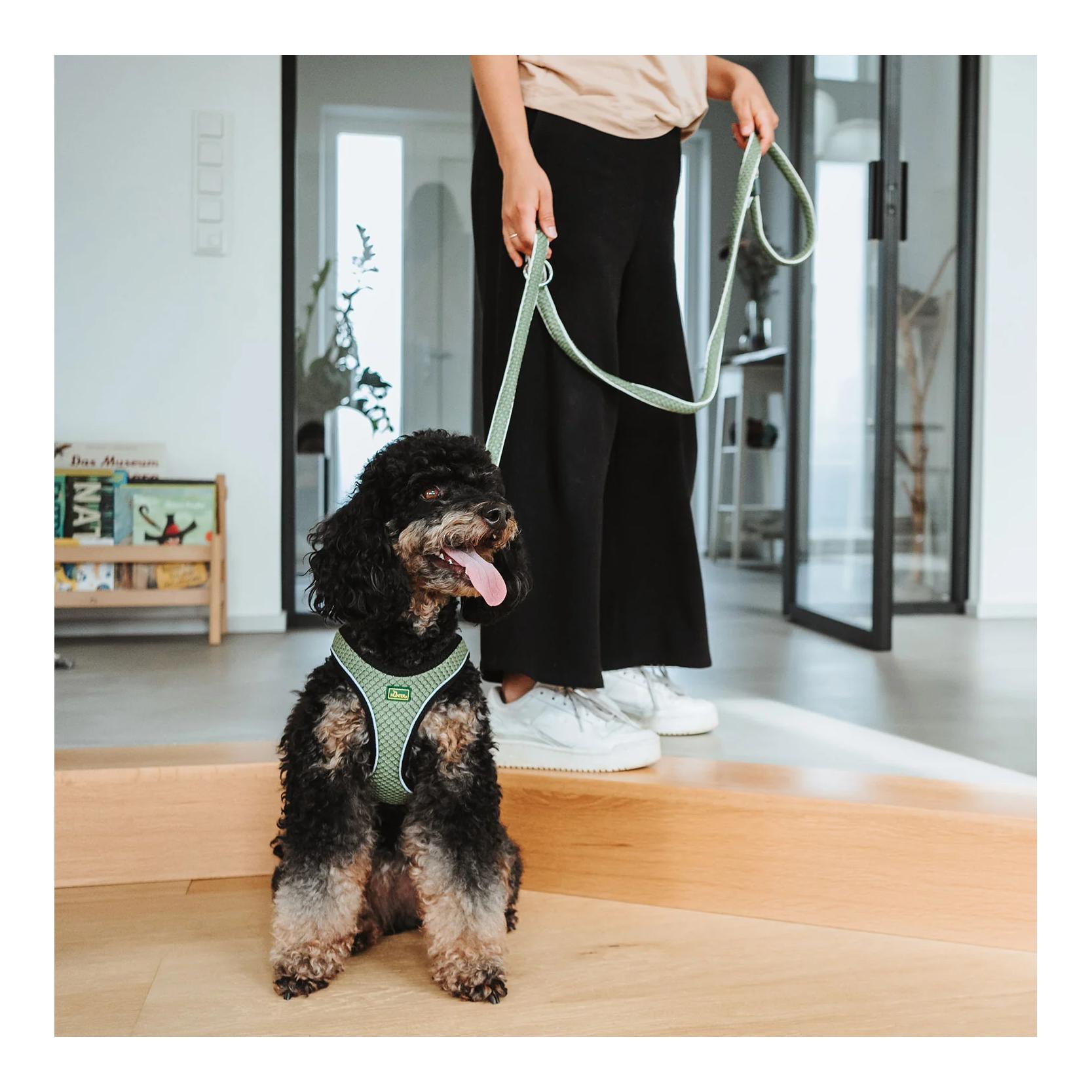 Verstellbare Hundeleine Hilo