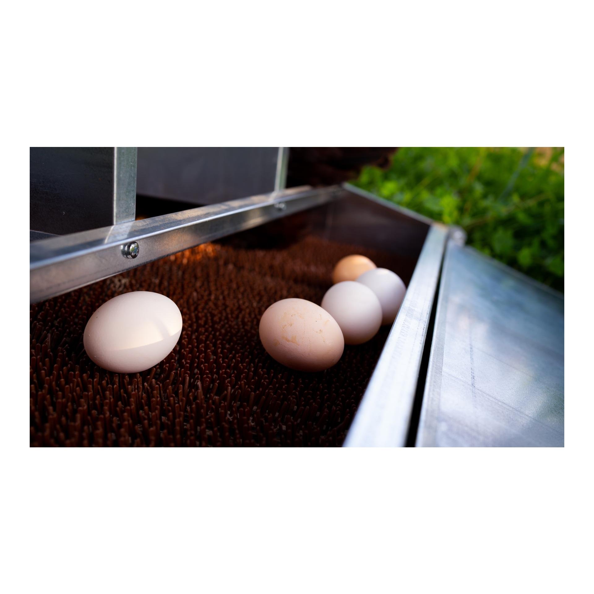 Abroll-Legenest Fenix