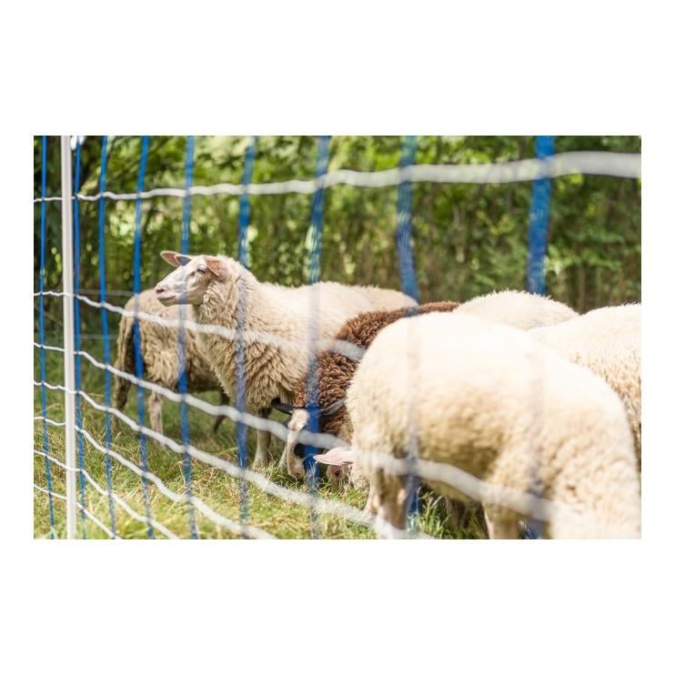 Weidenetz TitanNet - Doppelspitz