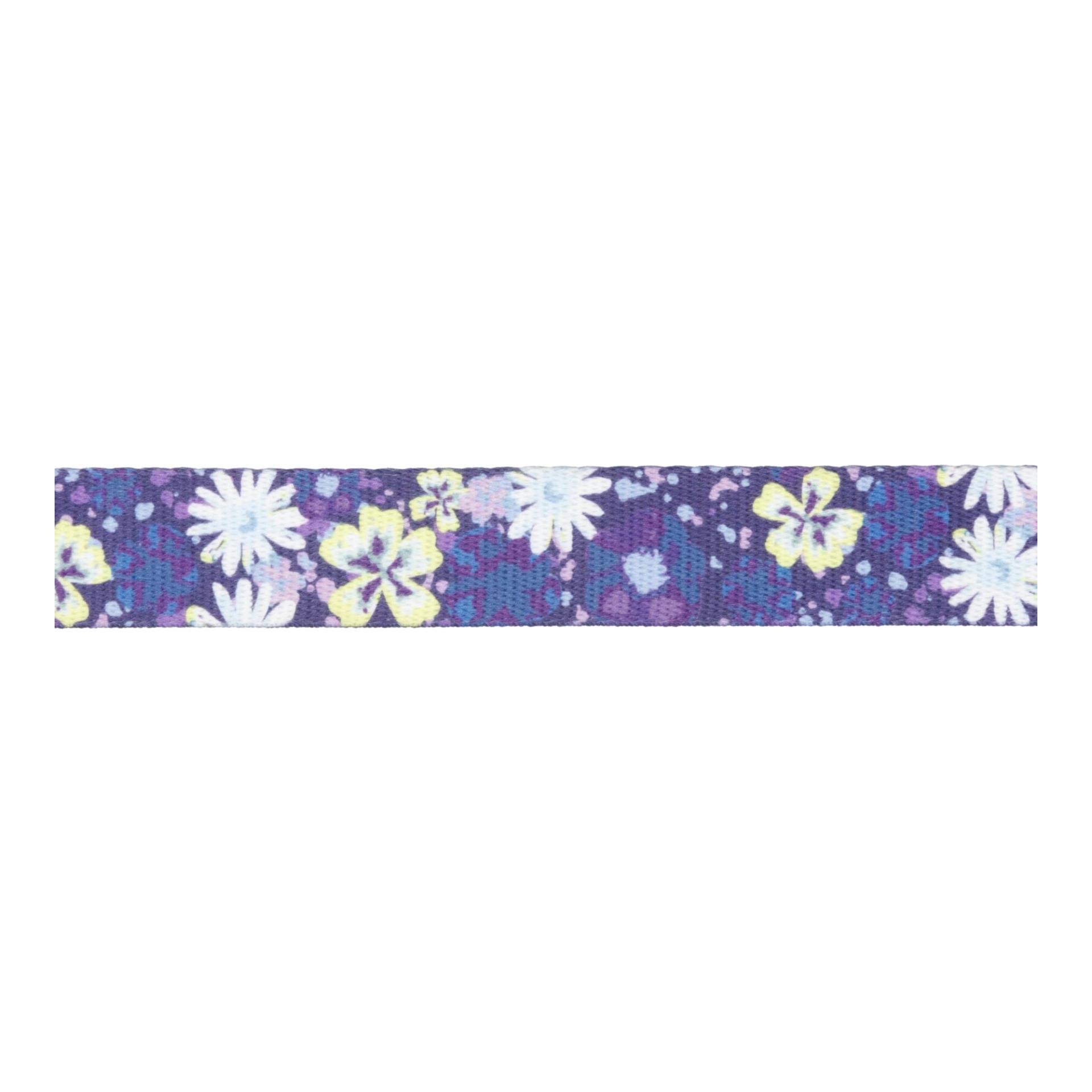 Ruffwear Front Range™ Collier de chien 