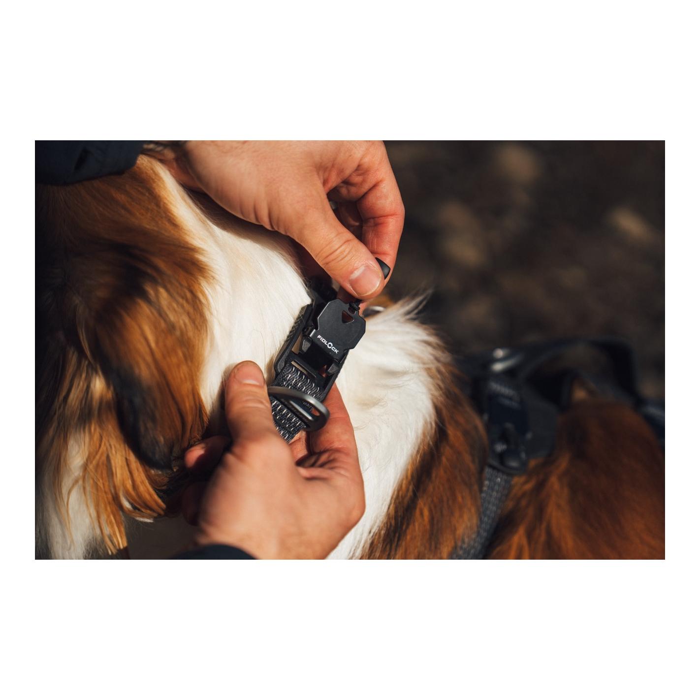 Ruffwear Ridgeline™ Hundehalsband