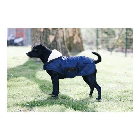 Kentucky Dogwear Manteau pour chien Original - marine