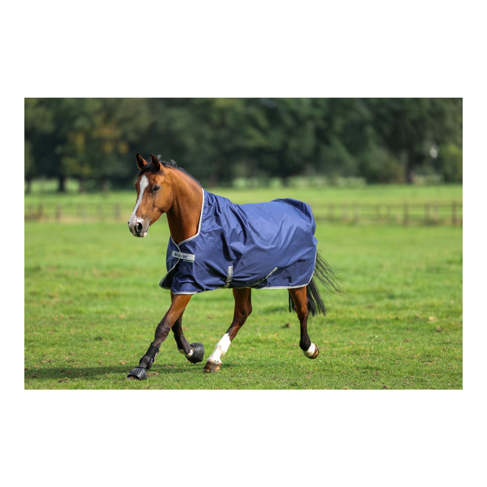 Weidedecke Freedom Turnout High Neck Light - navy/silver