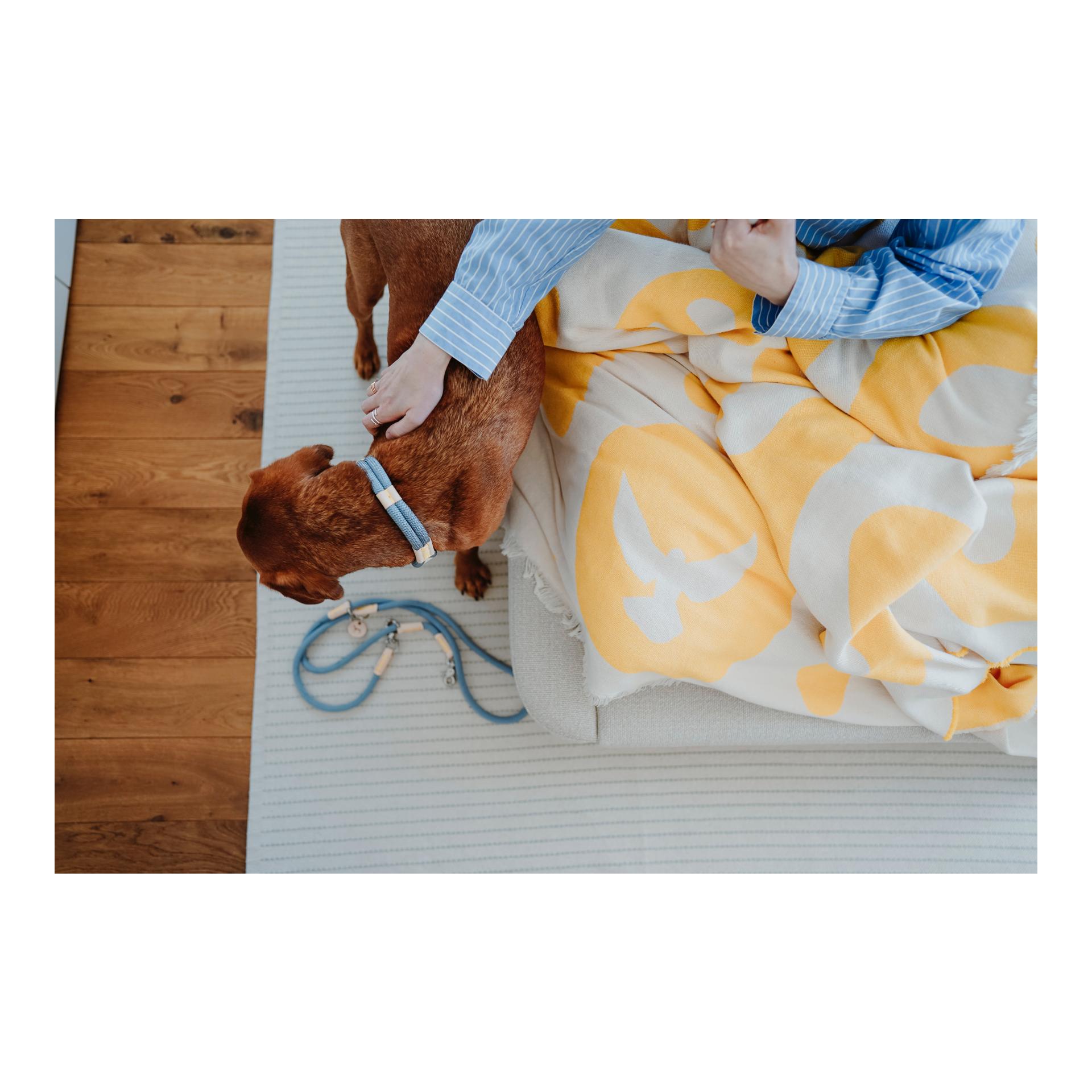 Verstellbare Leine Malia