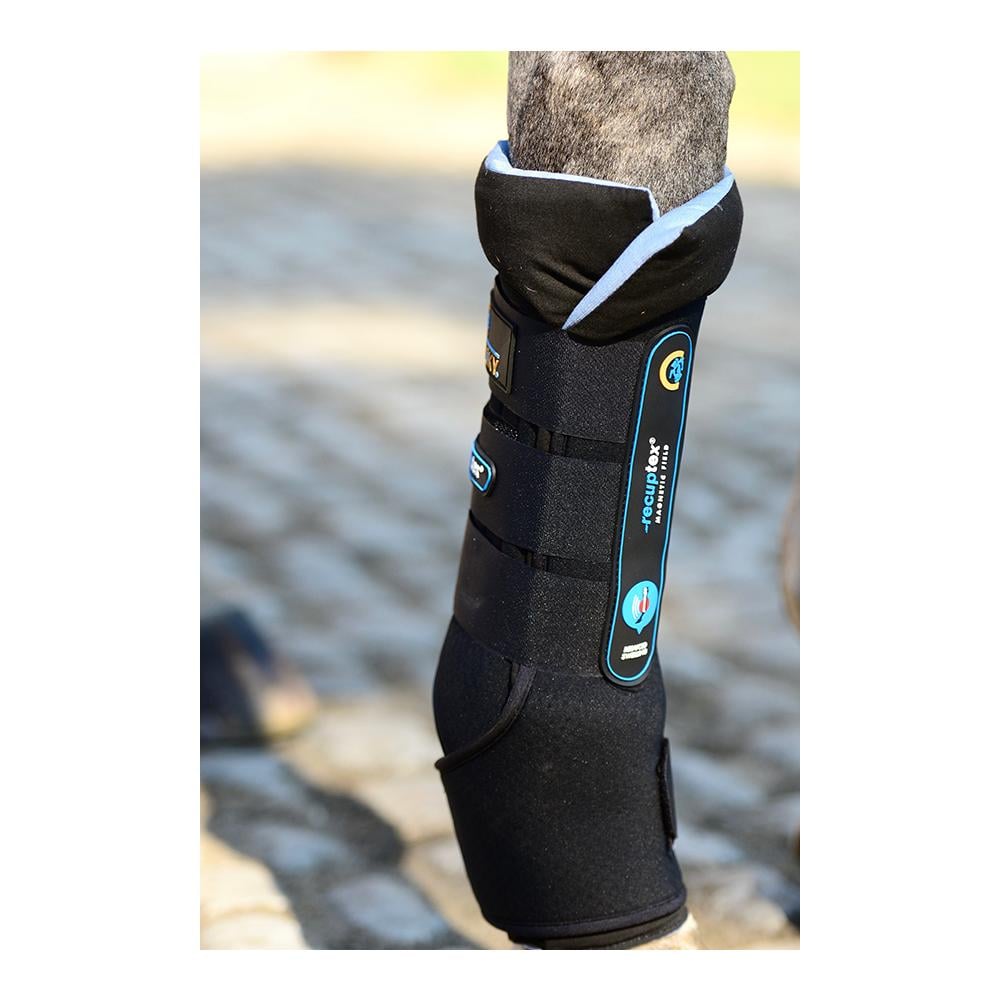 Stallgamaschen Magnet Recuptex,  Paar