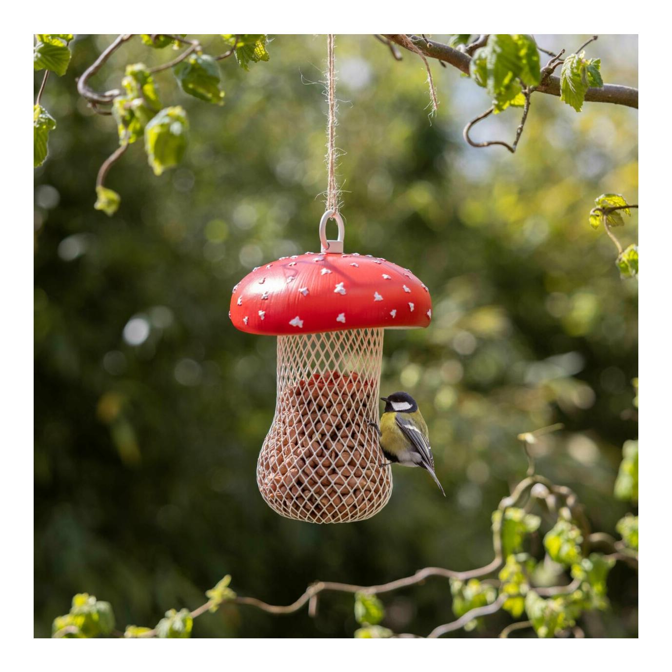 Futterstelle Fliegenpilz