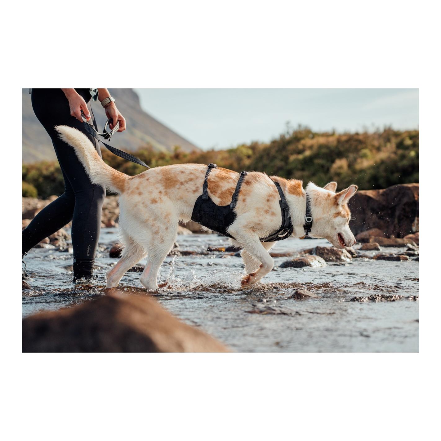 Ruffwear Ridgeline™ Hundegeschirr