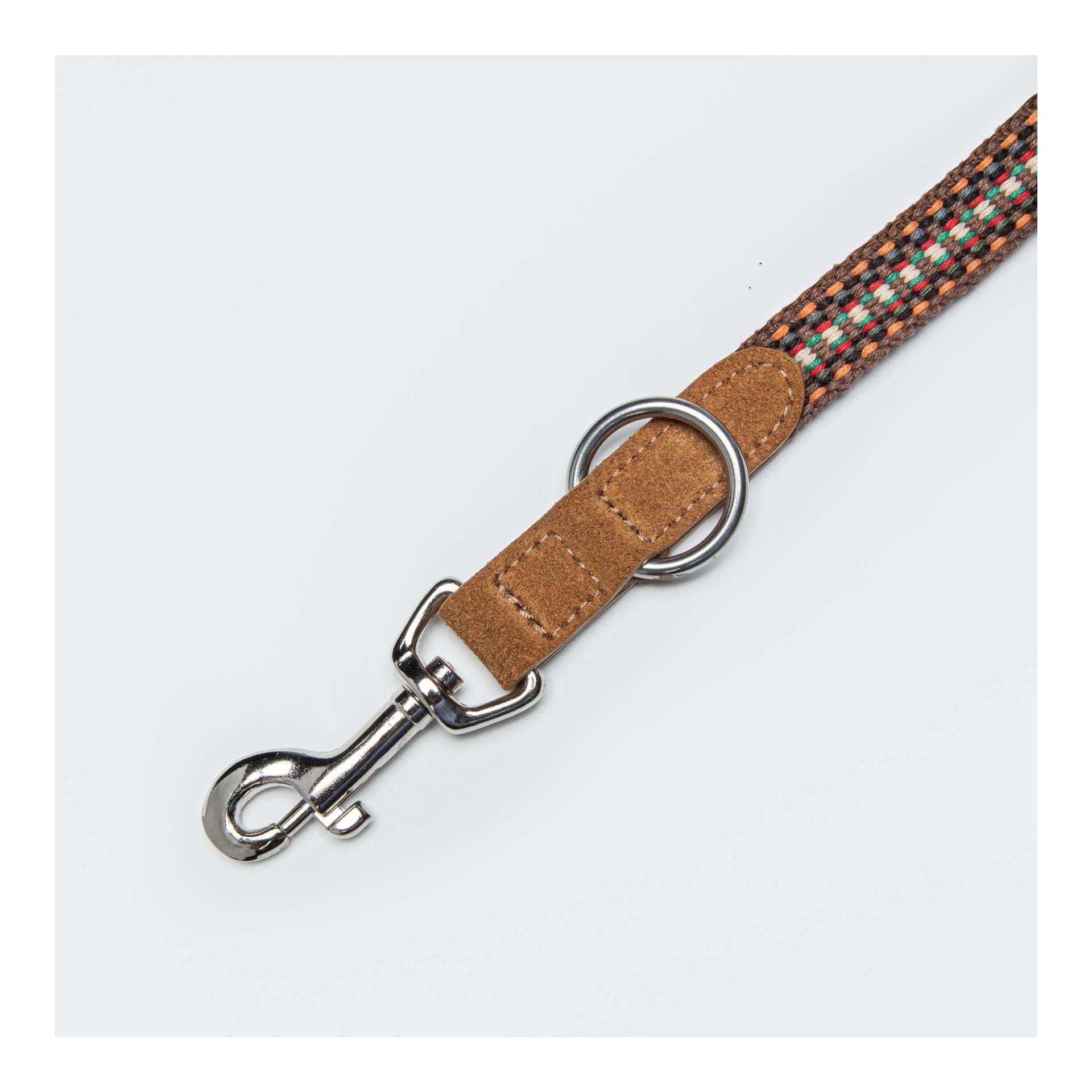 Hundeleine Prater - sunset