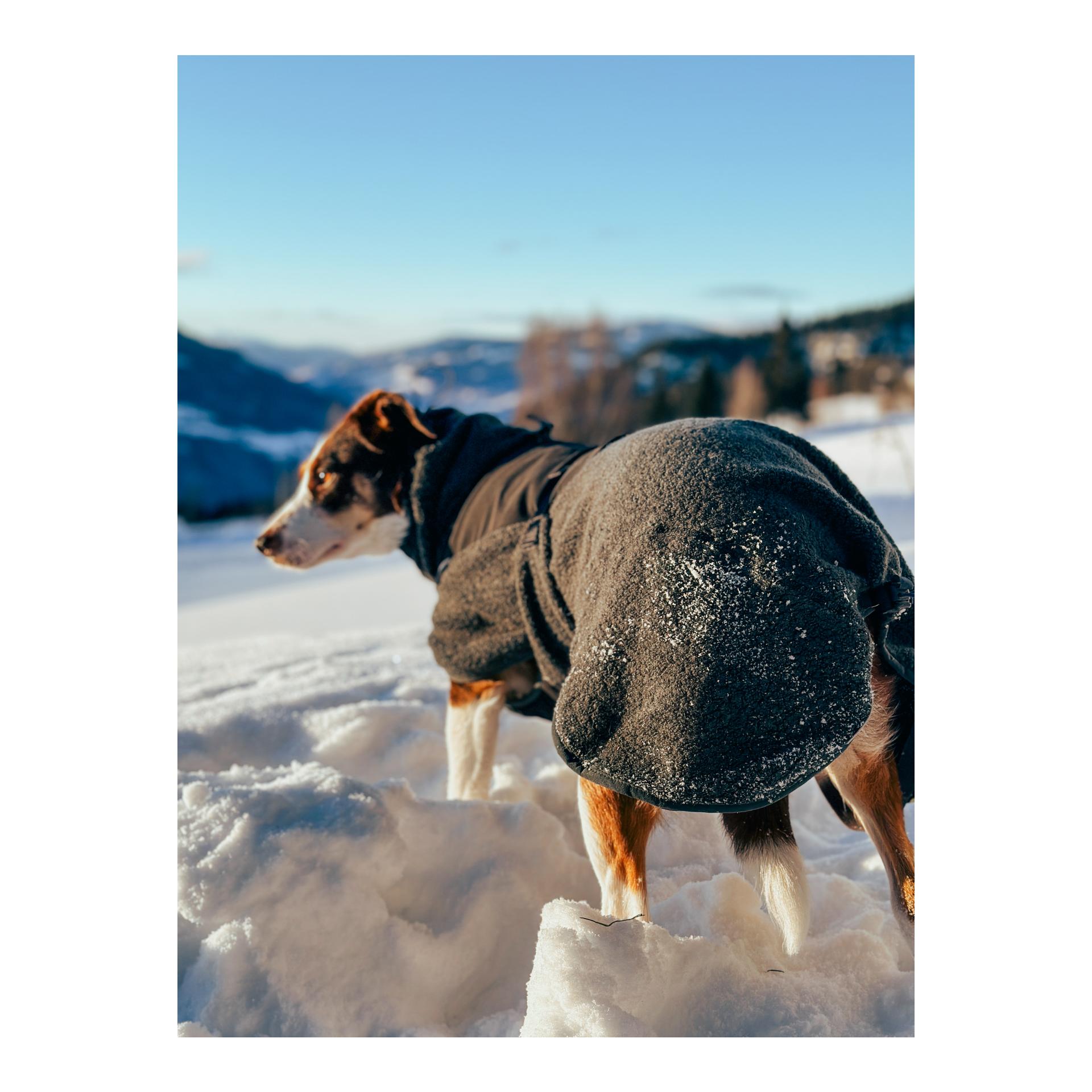Hundemantel Wool Dog Jacket