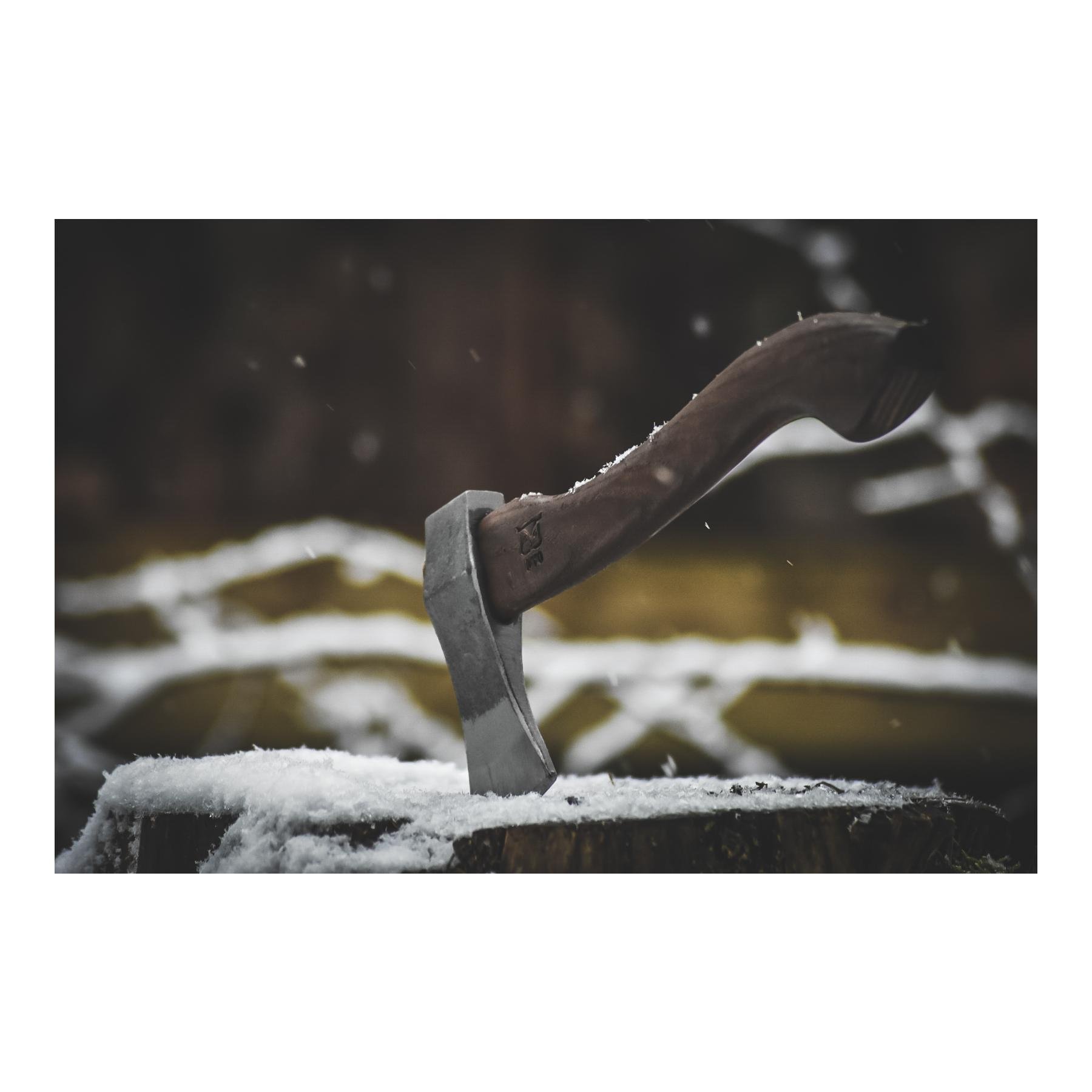 VIKINGØKS - Wikingerbeil