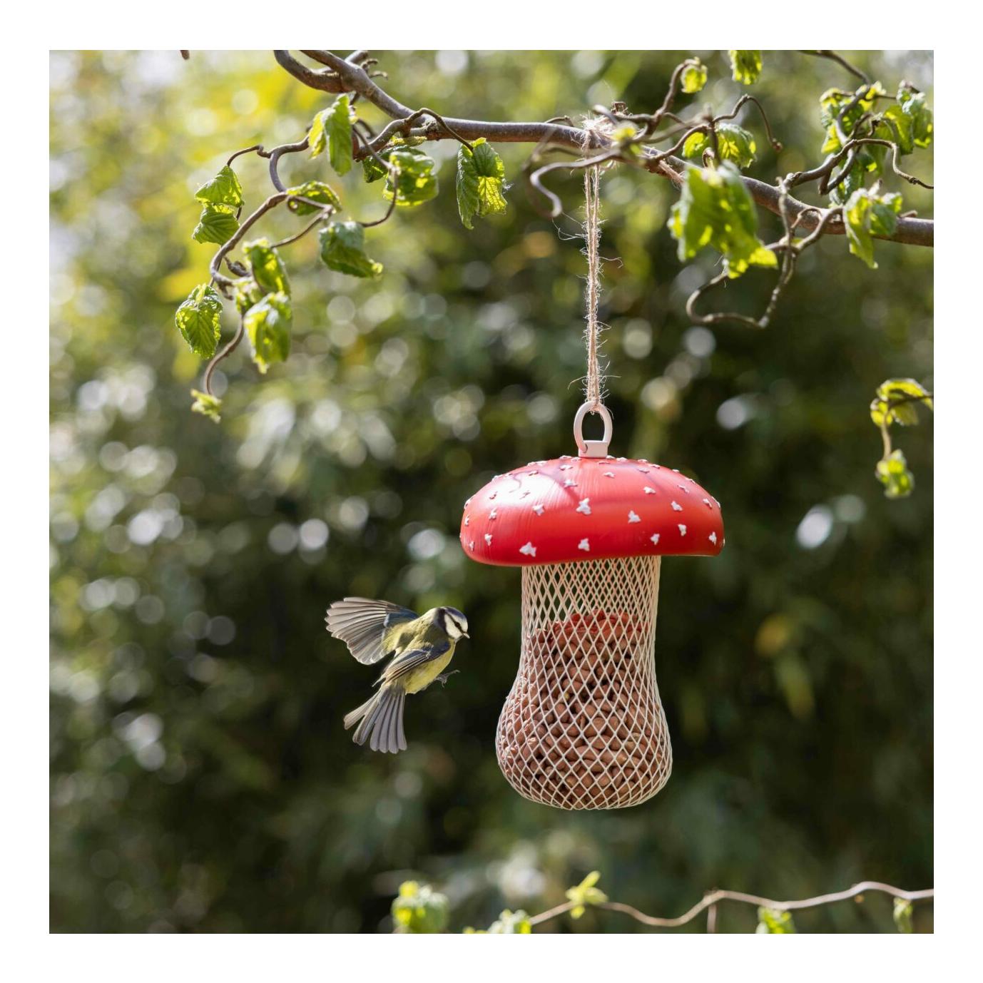 Futterstelle Fliegenpilz