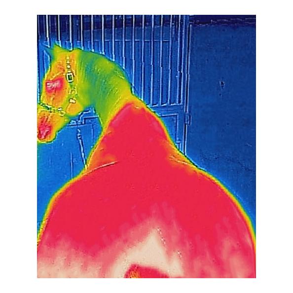 Therapy Decke Mesh Cooler - navy