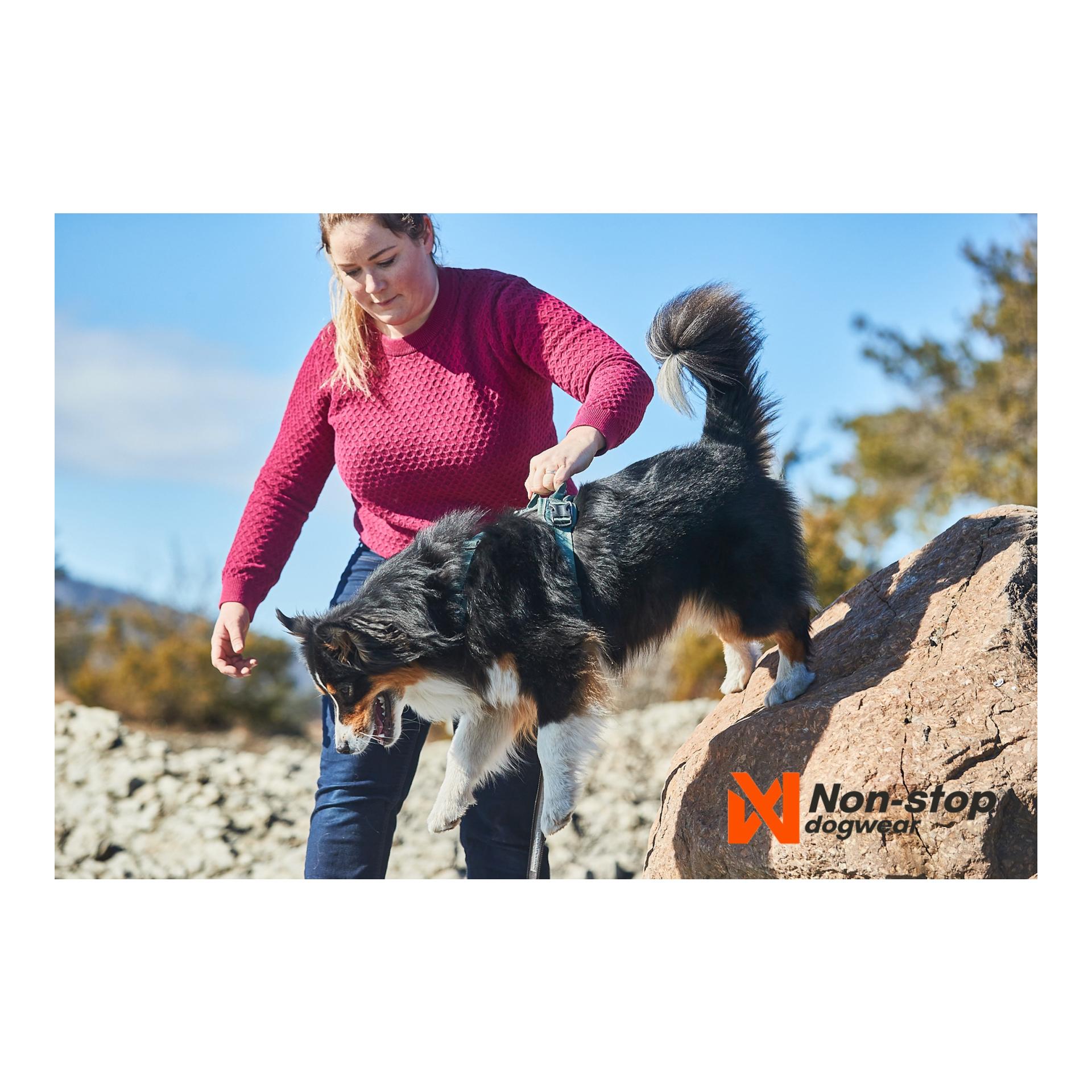 Ramble Harness - green