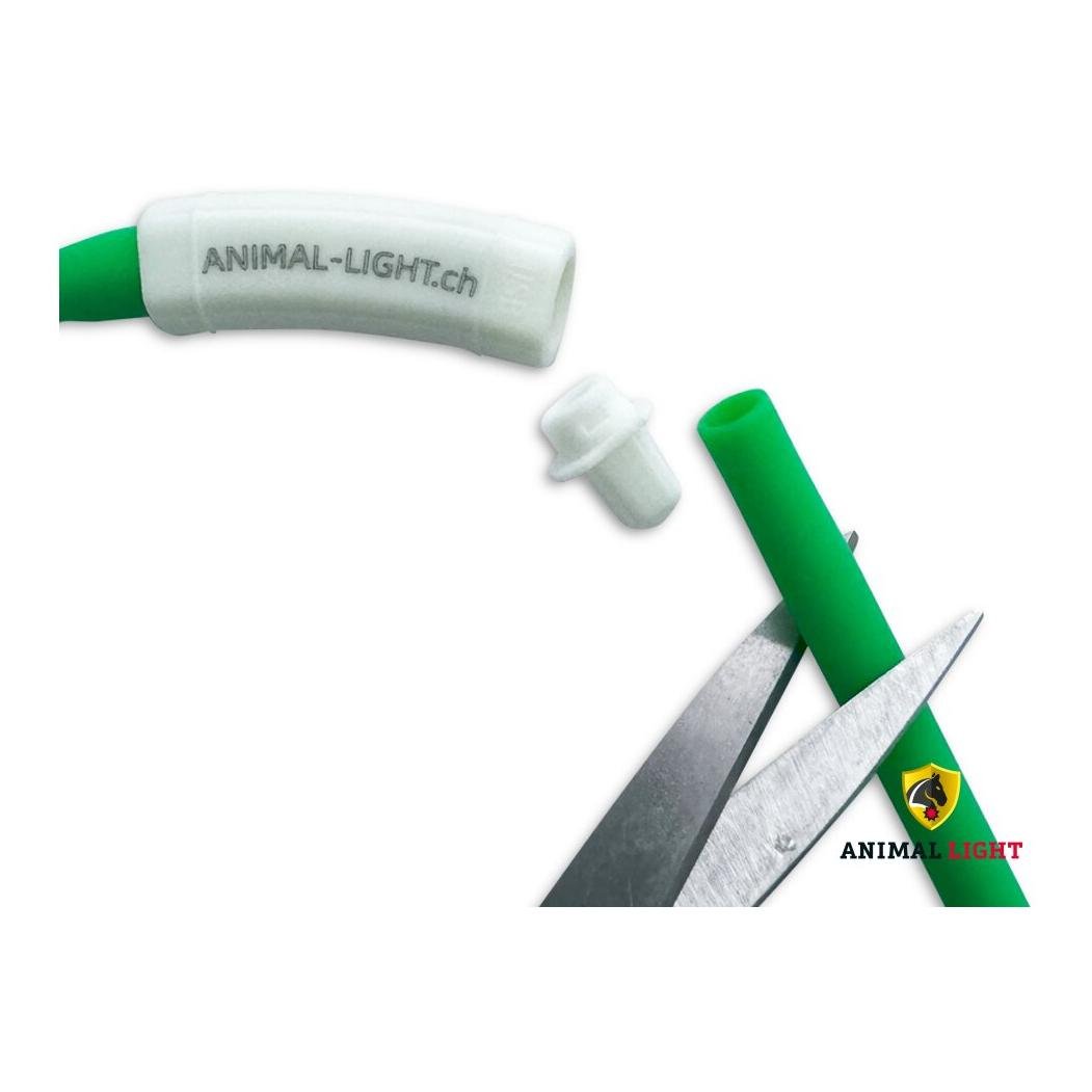 Leucht-Halsriemen Flex