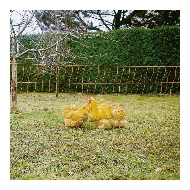 Geflügelnetz - Einzelspitz