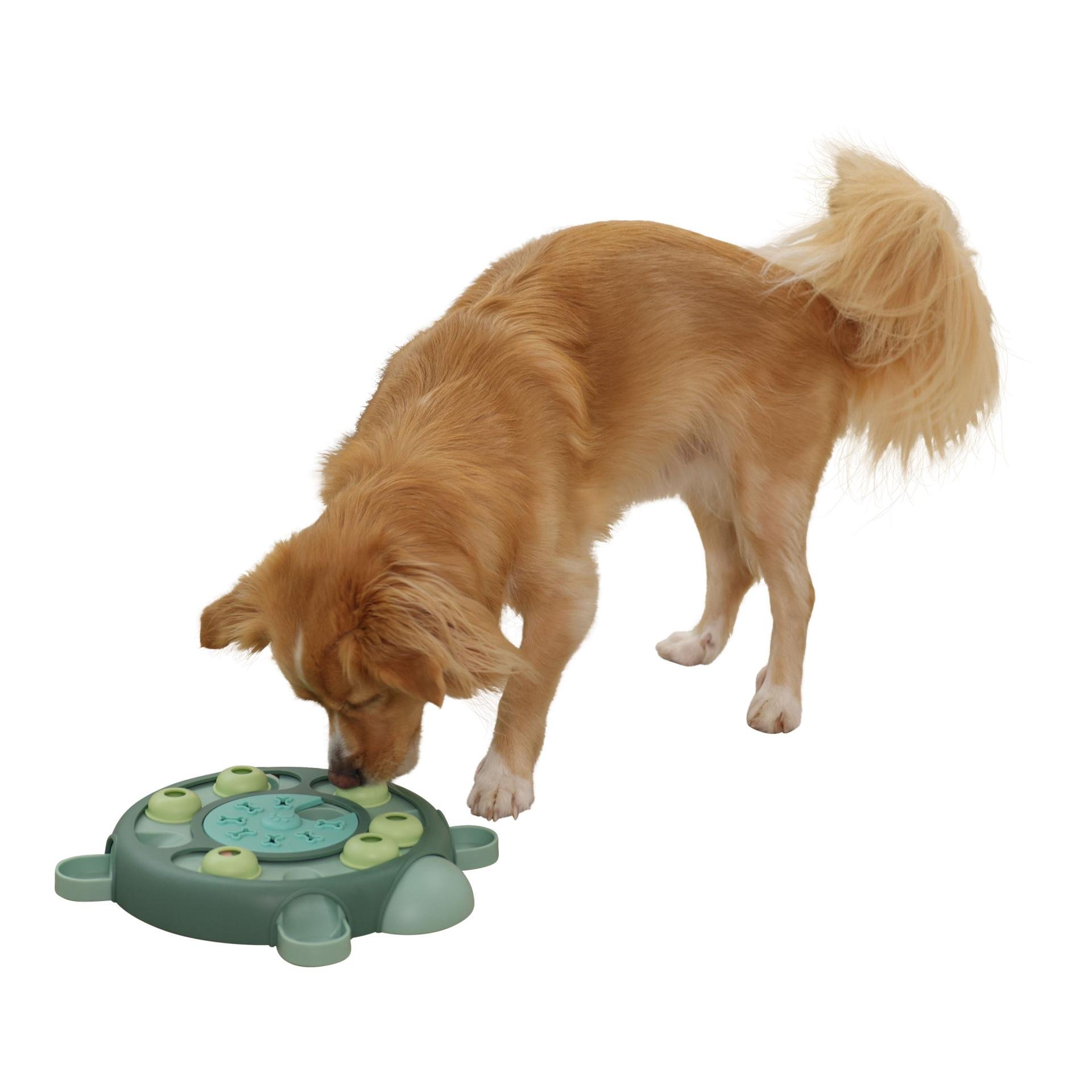 Denk- und Lernspielzeug Turtle