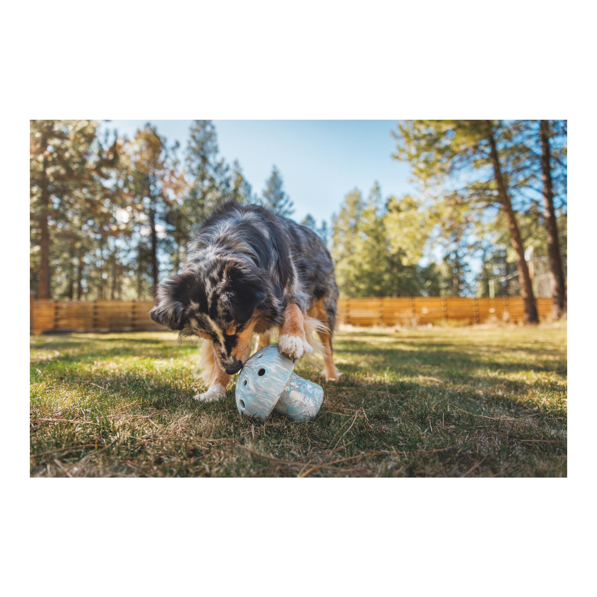Hundespielzeug Porchini