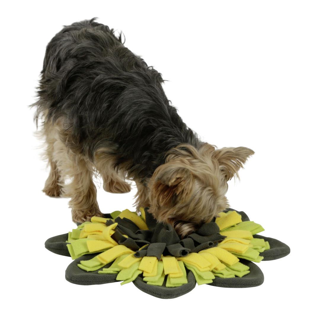 Schnüffelteppich Sunflower - gelb/grün