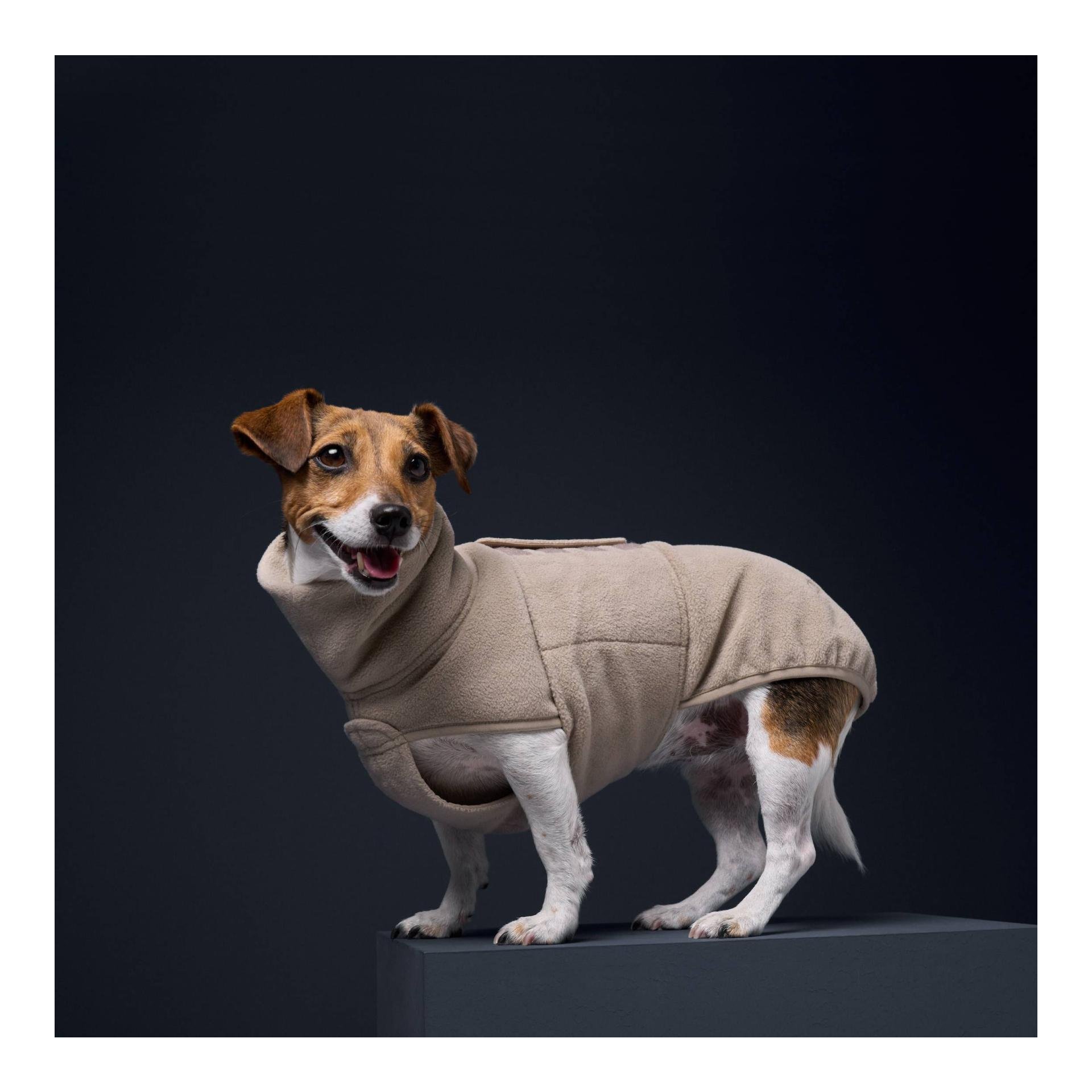 Derby polaire Hundepullover