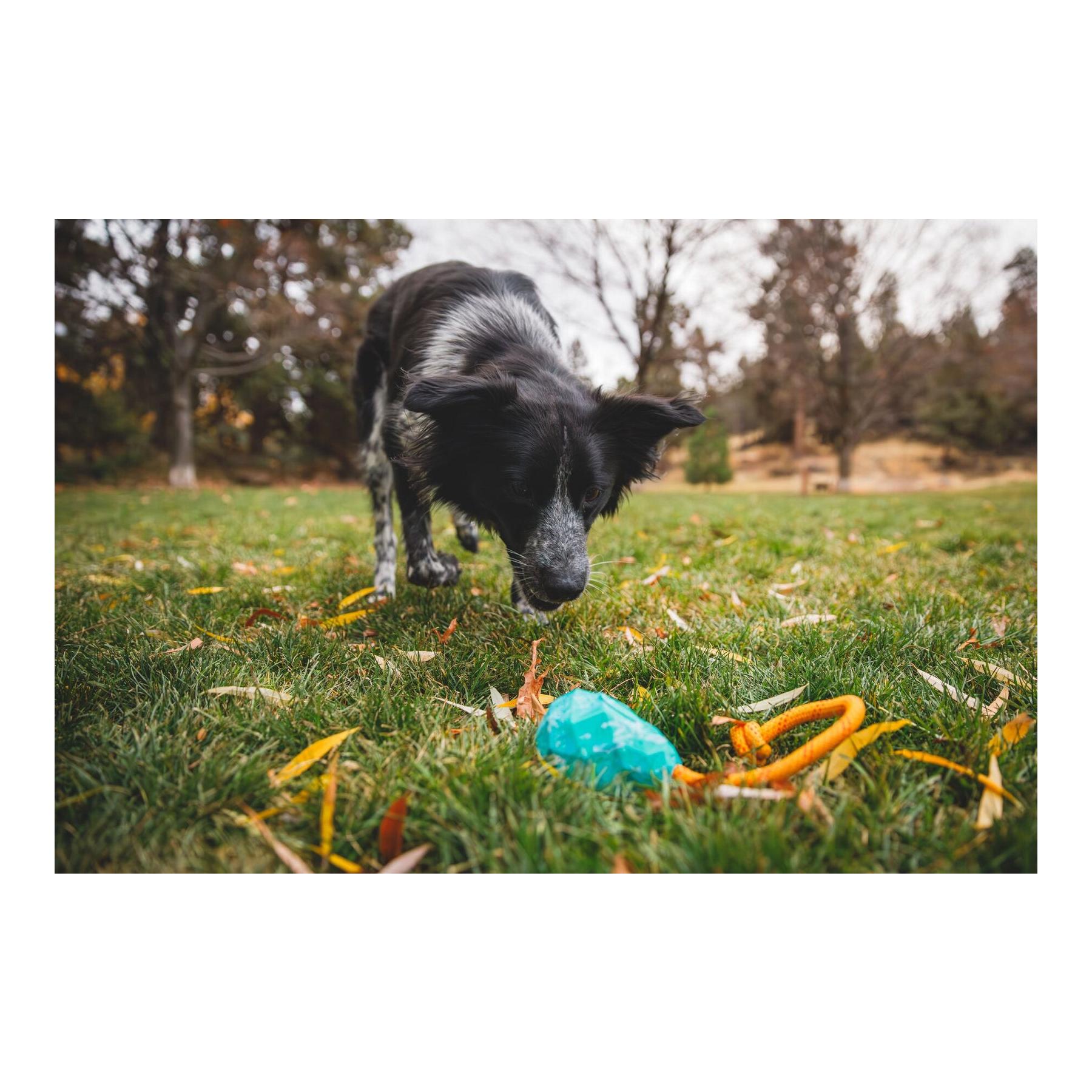 Hundespielzeug Huck-a-Cone