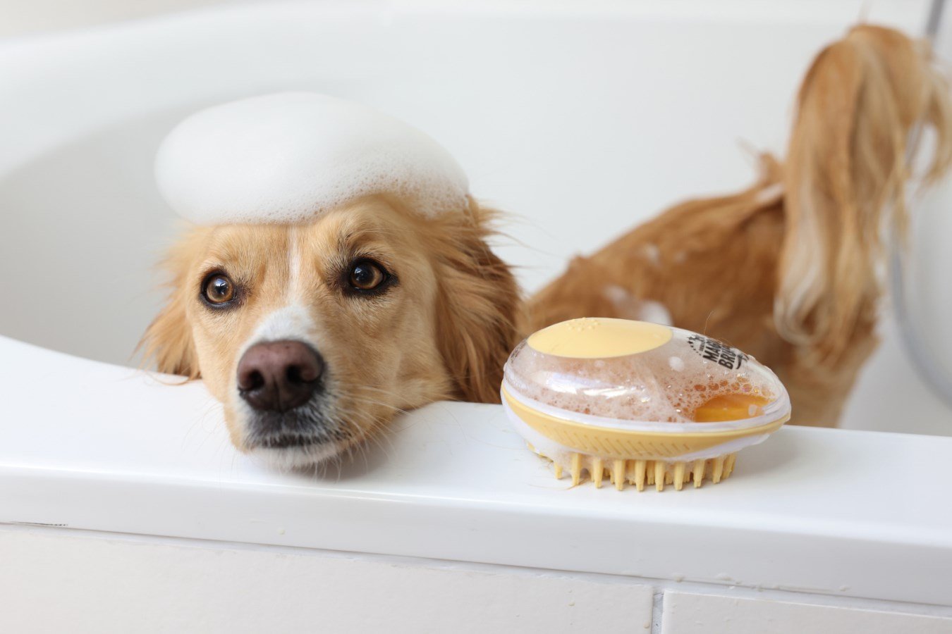 MagicBrush Badebürste 