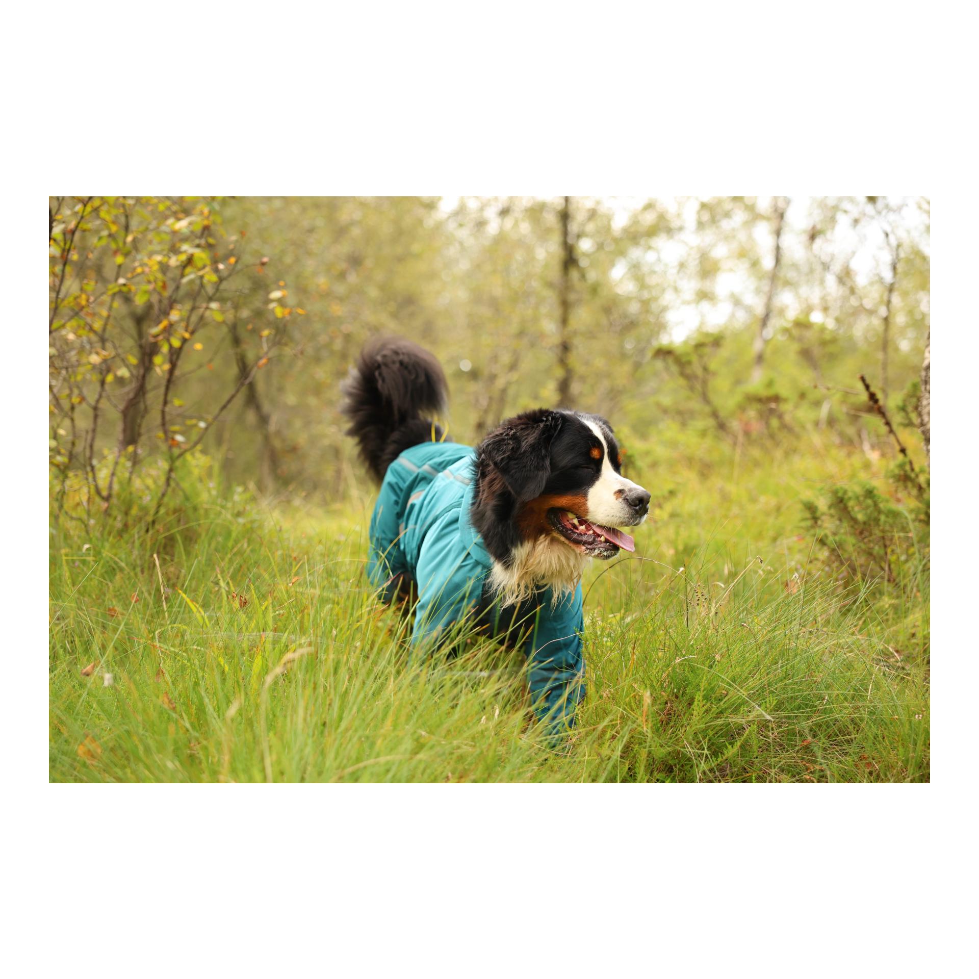 Fjord overall Regenmantel