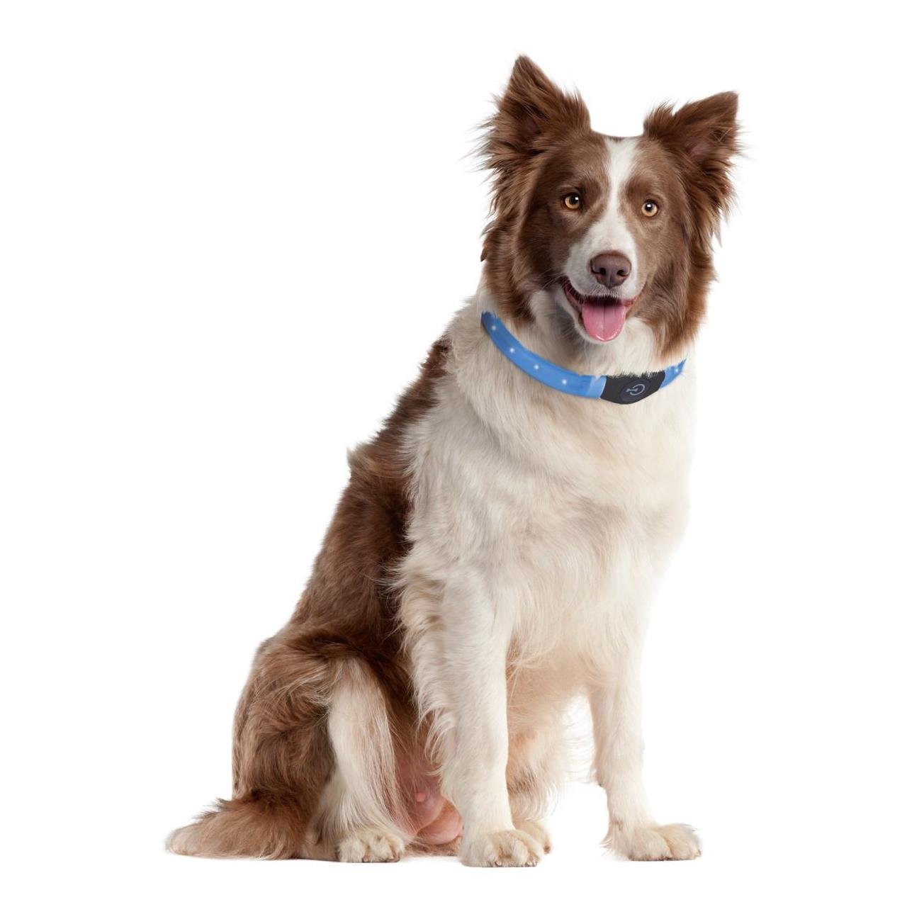 Viso Light Led Longhair