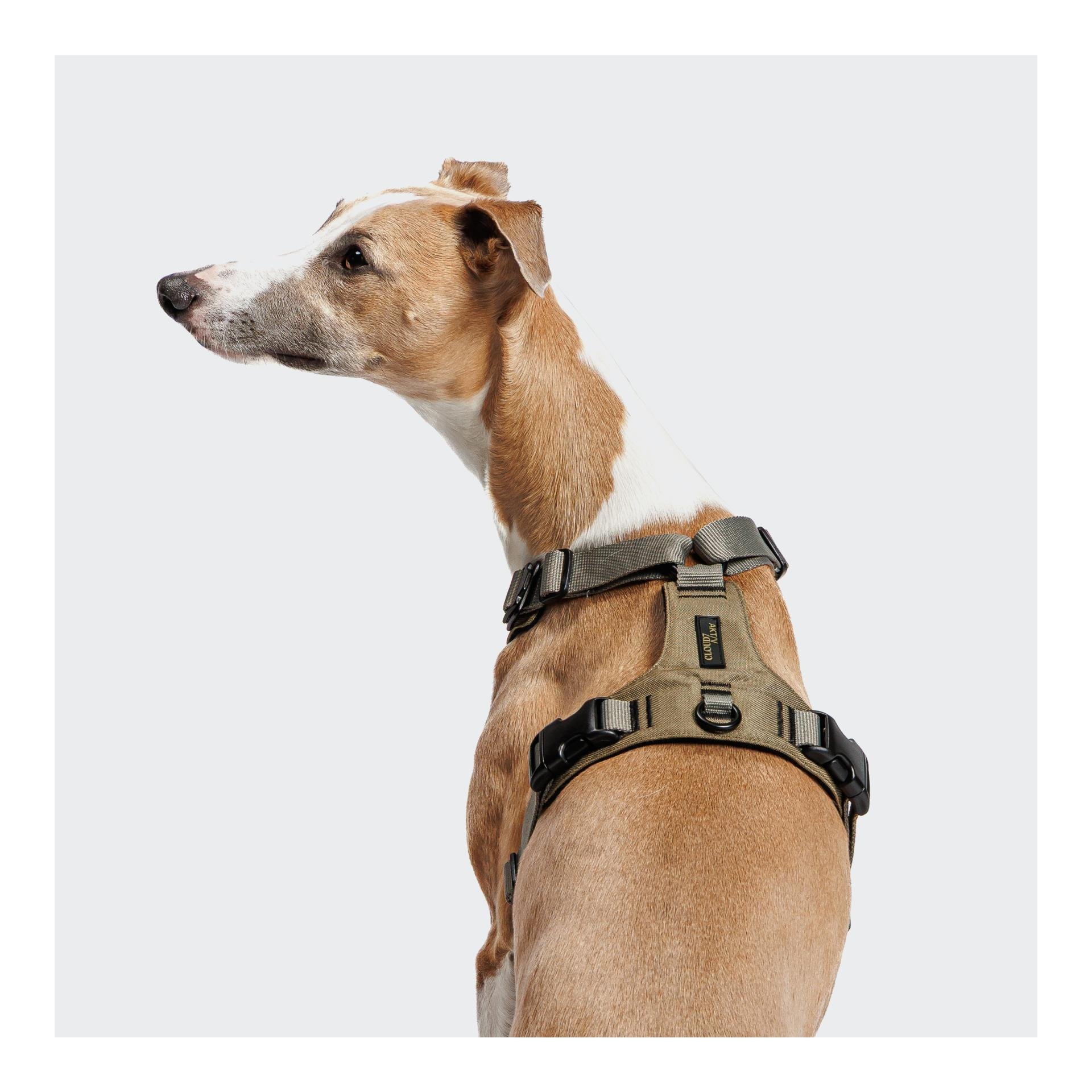 Harnais pour chien Y-2