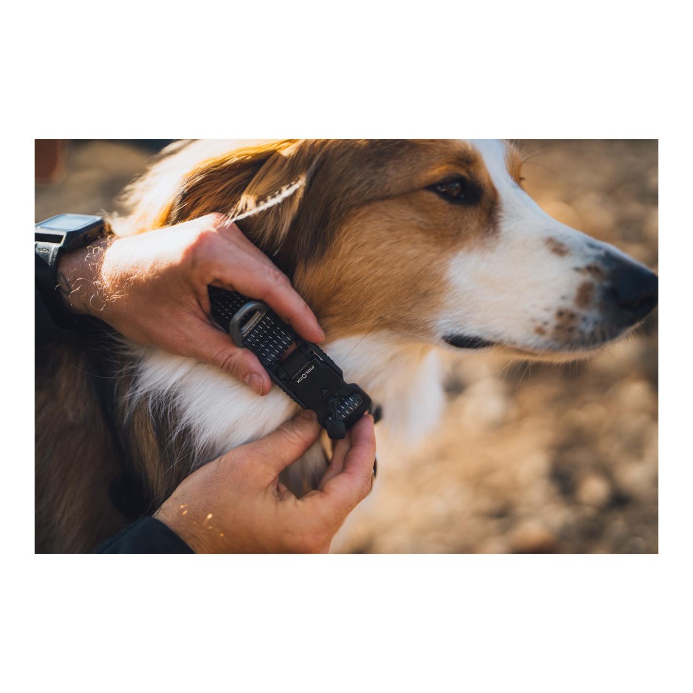 Ruffwear Ridgeline™ Hundehalsband