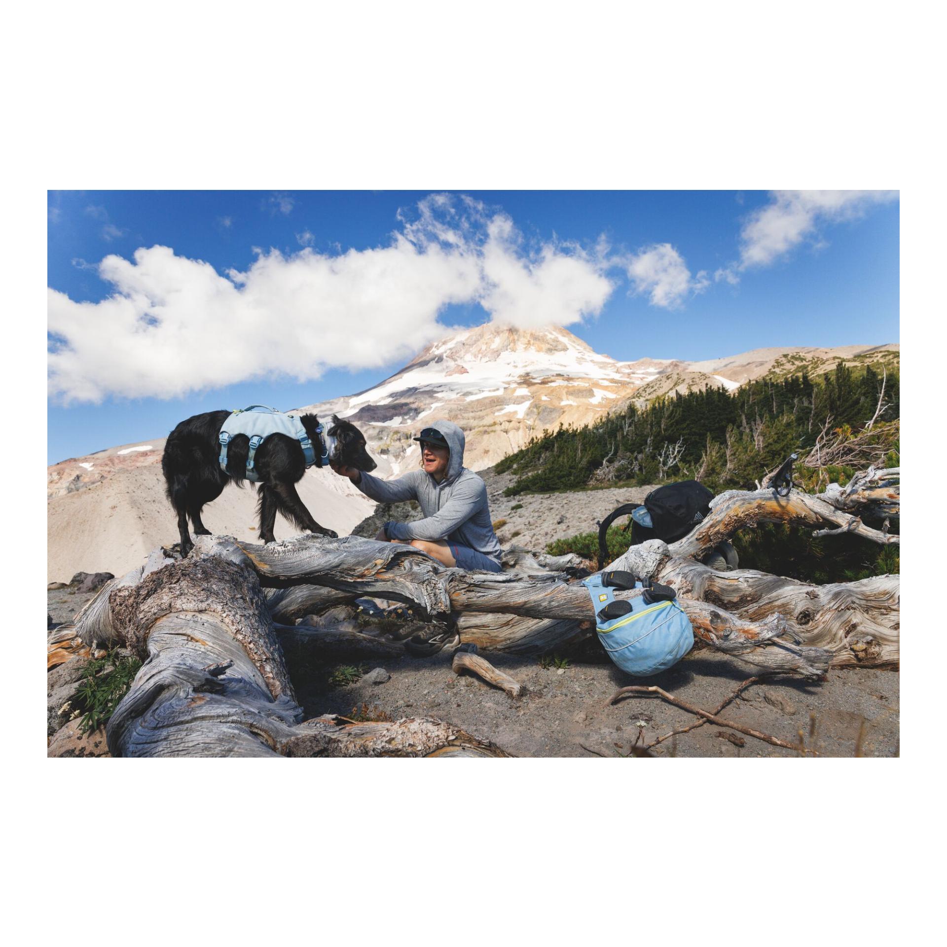 Ruffwear Palisades™ Pack - Sac à dos pour chien