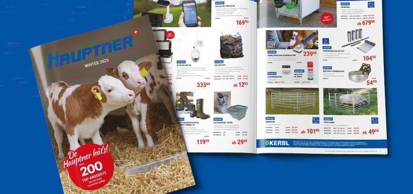 Katalog-HP-SHOP-425x200-Landingpage-DE