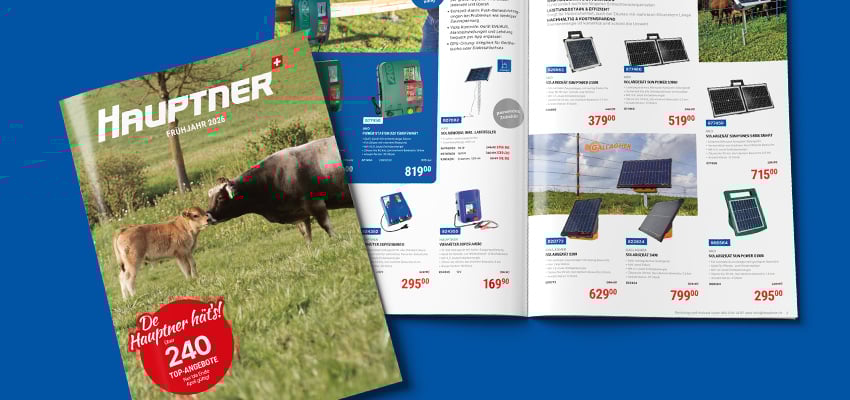 Katalog-HP-SHOP-425x200-Landingpage-DE