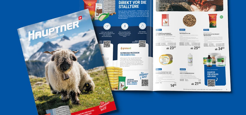 Katalog-HP-SHOP-425x200-Landingpage-DE