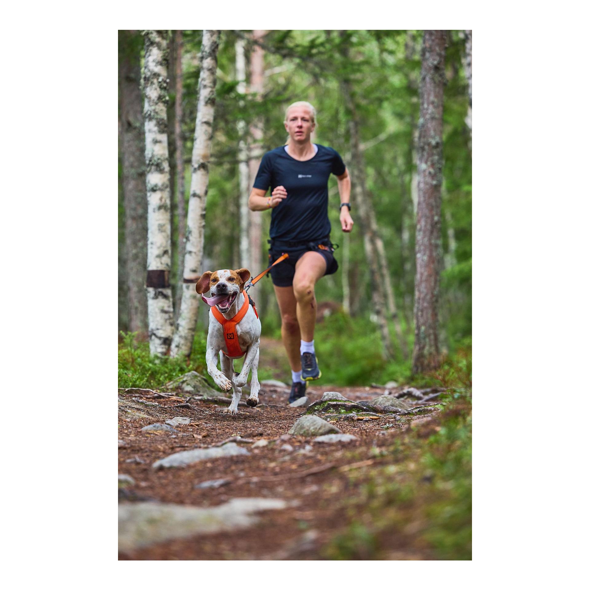 Zuggeschirr Freemotion Harness 5.0