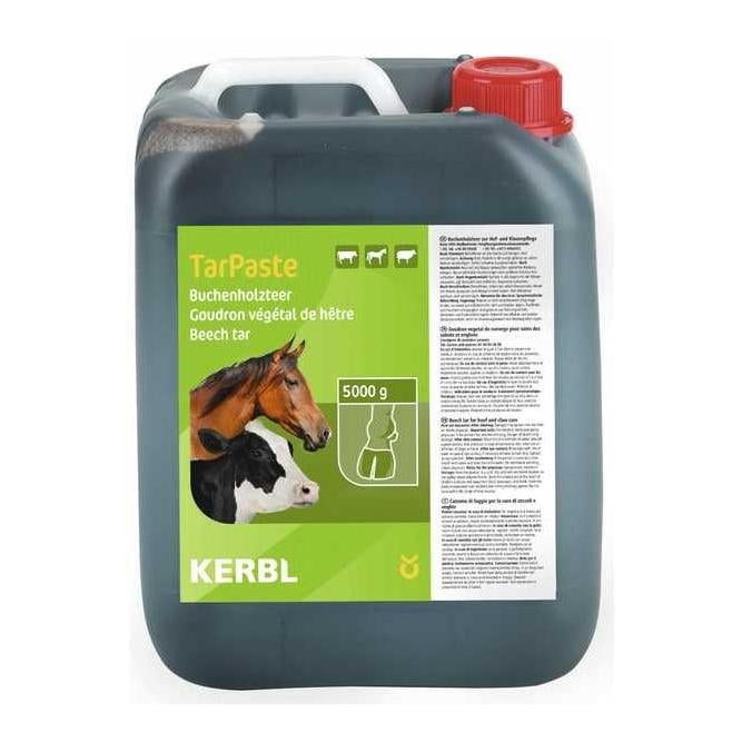 Buchenholzteer TarPaste
