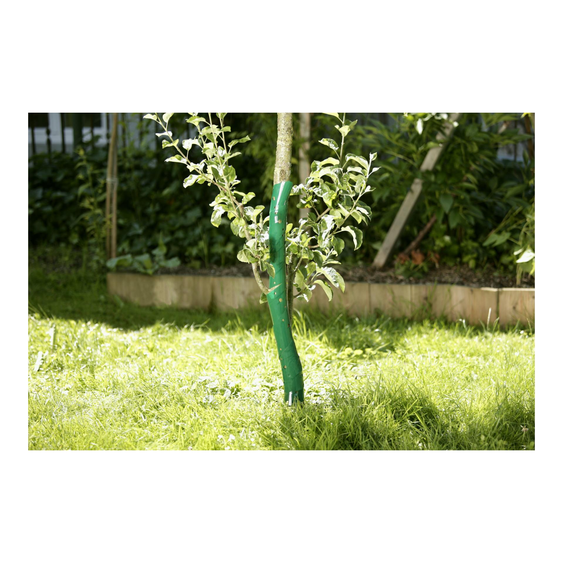 Windhager Baumschutz-Spiralen