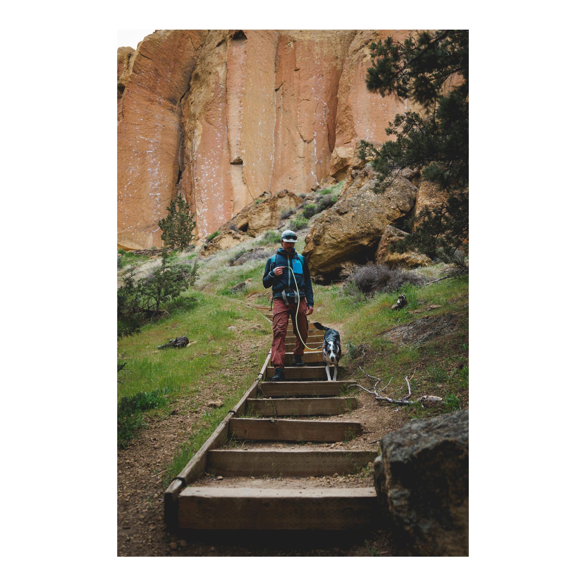 Laisse pour chien Knot-a-Leash