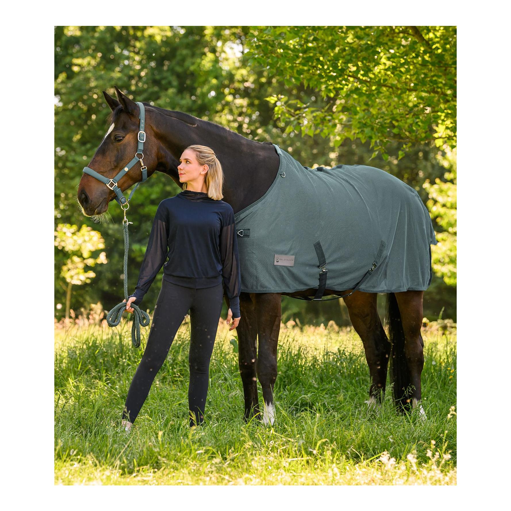 Waldhausen Fliegendecke Comfort mit Kreuzgurten