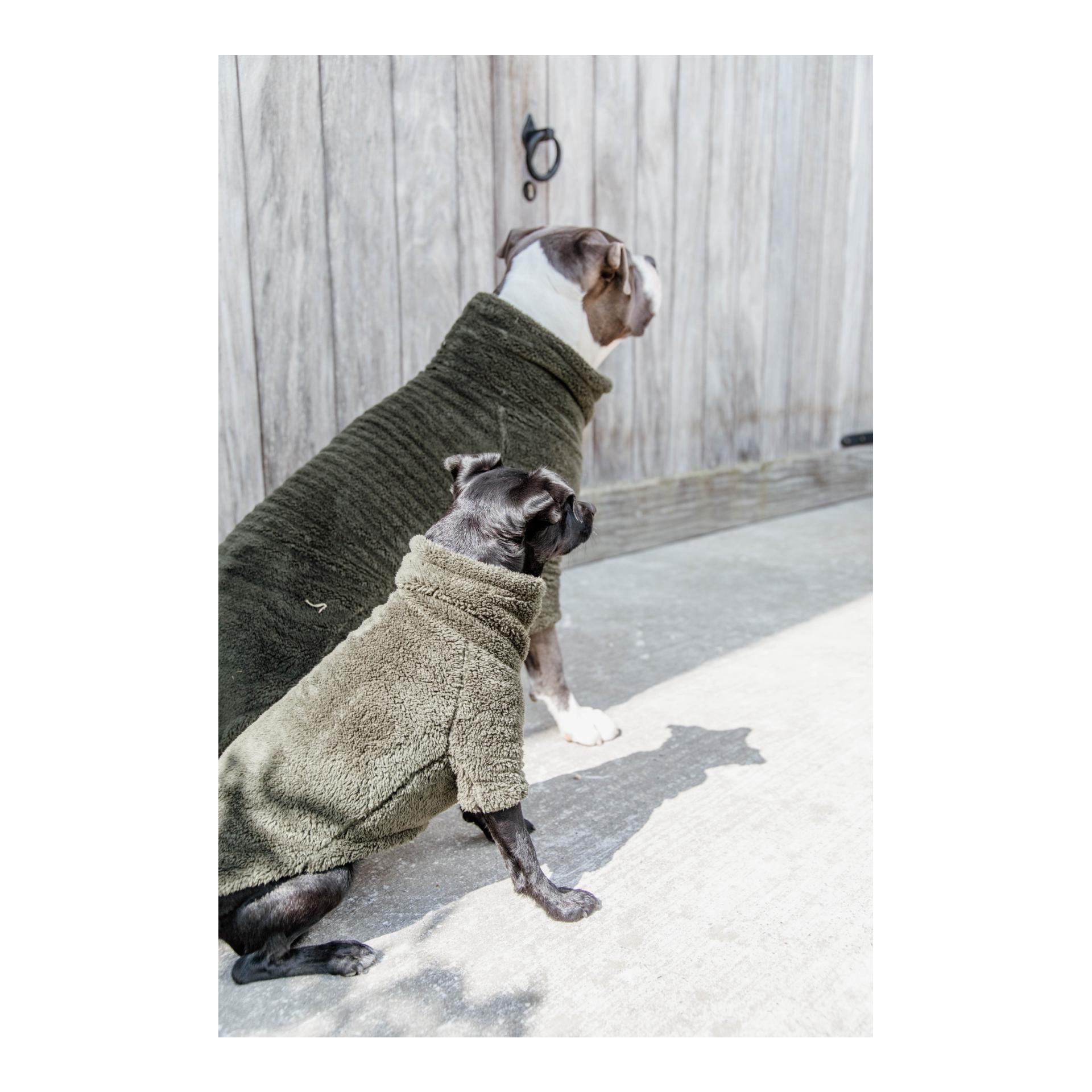 Hundepullover Teddy Fleece - Pine Green