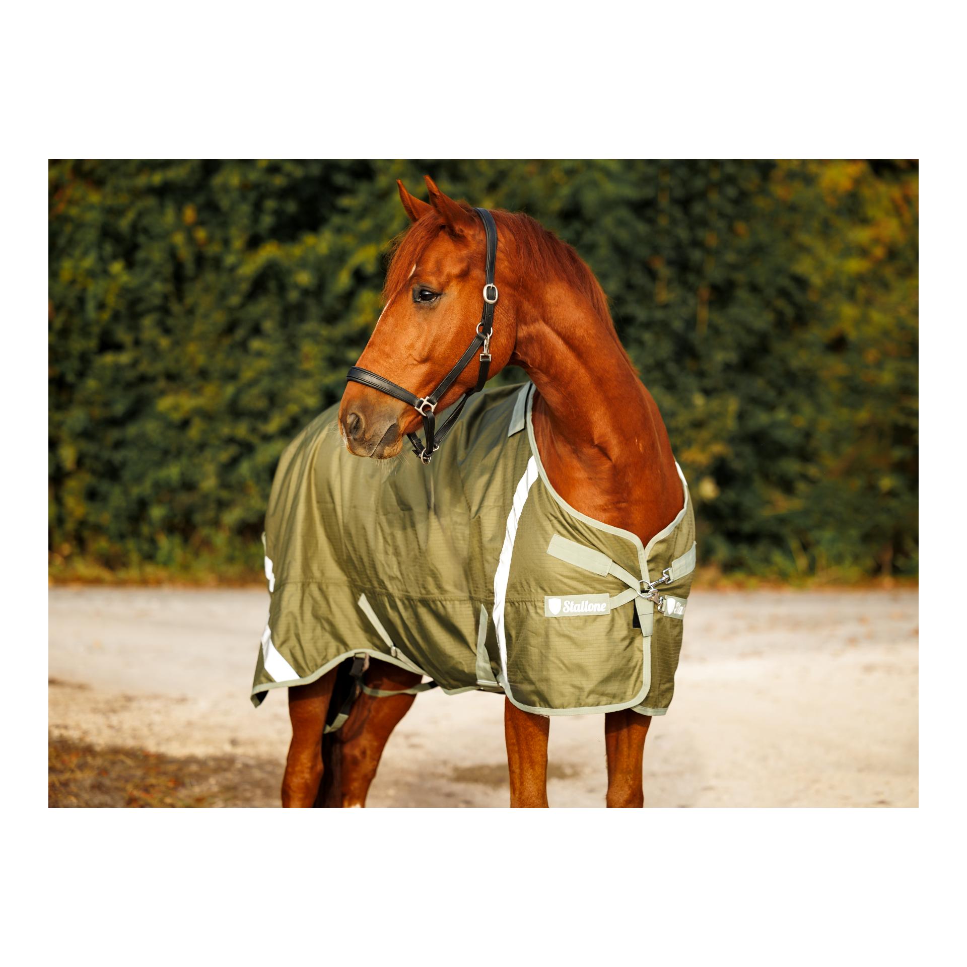 Couverture 100 g d'hiver Outdoor Guard